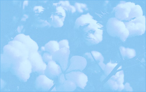 representation of Kids & Baby