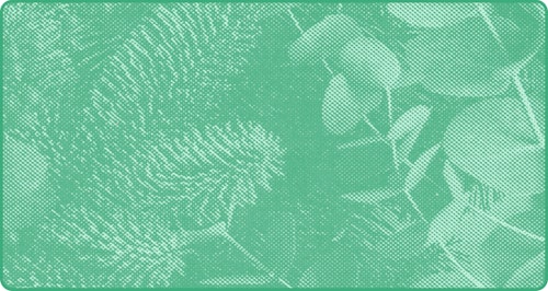 representation of gift-guides