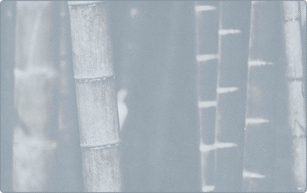 representation of BeddingLinensAndTowels