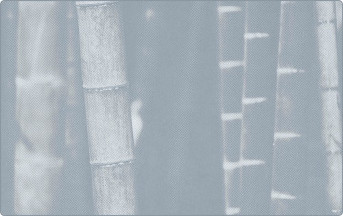 representation of Bedding