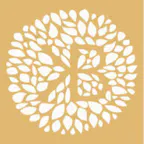 Kindred Bravely logo