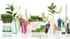 Arbonne