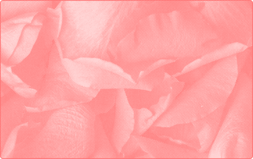 representation of Beauty