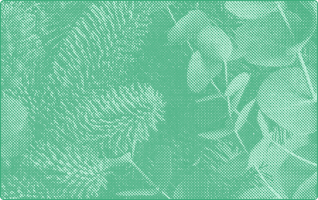 representation of gift-guides