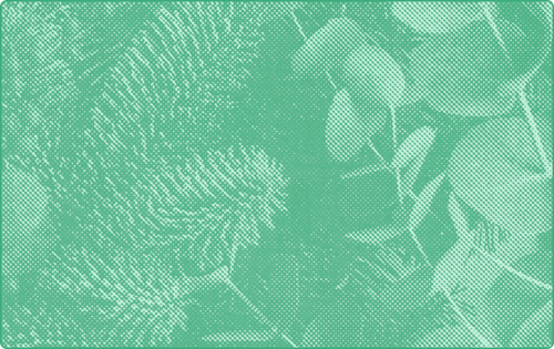 representation of Gift Guides