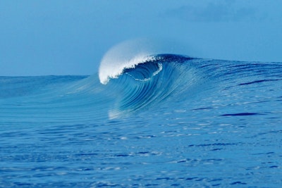 Surfrider Foundation