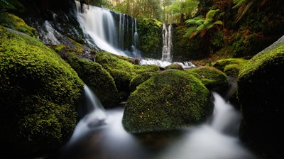 The Wilderness Society