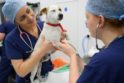 Brook Farm Veterinary Center