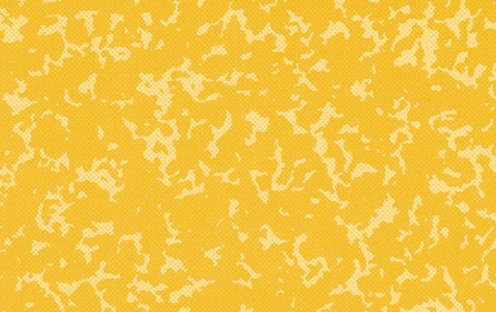 representation of BackToSchool