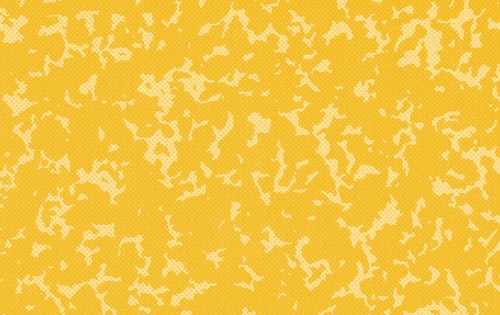 representation of School