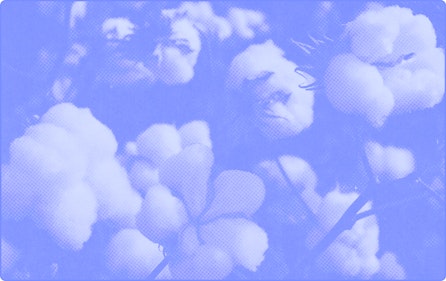 representation of Clothing