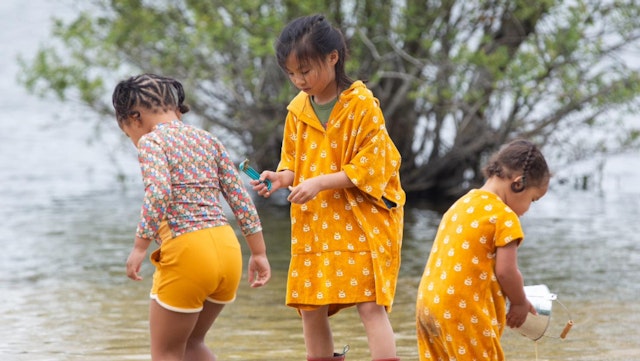 Little Green Radicals