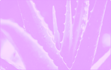 representation of PersonalCare