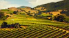 Jackson Family Wines