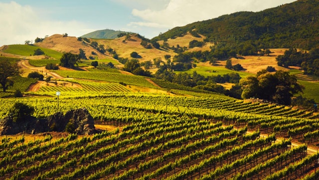 Jackson Family Wines