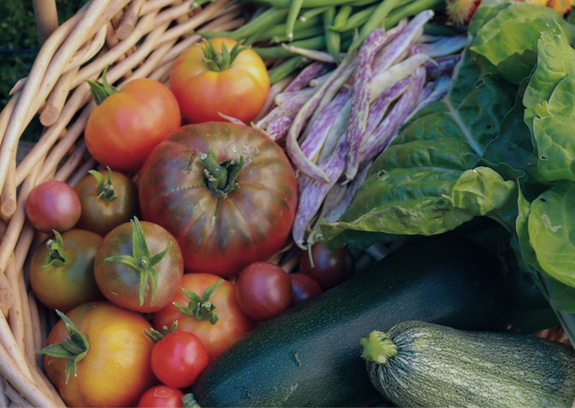 5 Places to Shop Sustainably for Local Produce