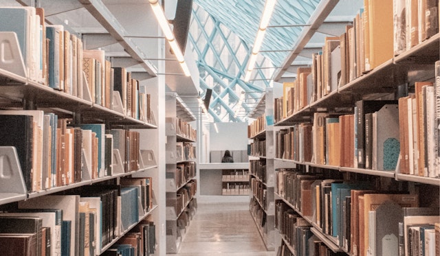 5 Things You Didn't Know You Can Rent from the Library