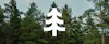 Carbon Offsets 101: Forestry Primer