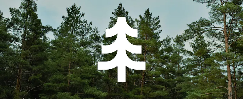 Carbon Offsets 101: Forestry Primer
