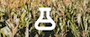 Carbon Offsets 101: Biomass Primer