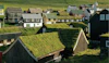 6 Types of Green Roofs for Cooling and Biodiversity