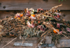 Commons' Guide to Composting
