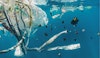 How Much Plastic is in the Ocean? (And Where Does it End Up?)