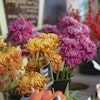 How to choose sustainable flowers