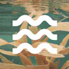 Offset Portfolio: Running Tide