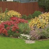 What is a Rain Garden? Simple, sustainable solutions to flooding and erosion