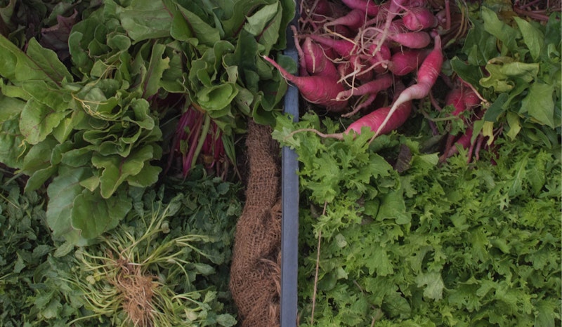 Spring Produce at the Farmers Market