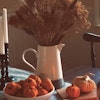 Sustainable Ideas for Fall Decor