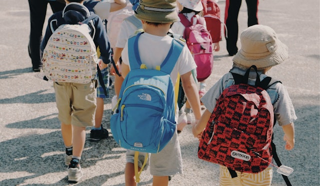 These Sustainable School Supplies are Plastic-Free