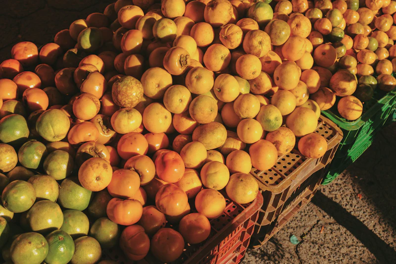 Winter Produce at the Farmers Market