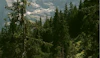 What is an FSC Certification?