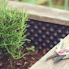 4 Easy Ways to Dry Fresh Herbs