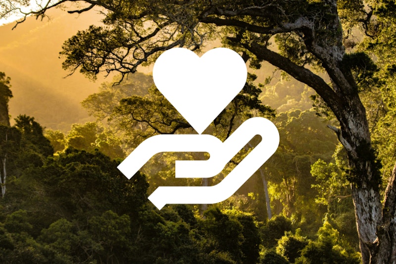 11 Climate and Environmental Orgs We Love