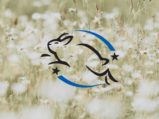 What Is a Certified Cruelty Free Product?