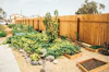 What to Plant in a Modern Victory Garden