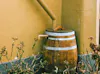 Everything You Need to Know About Rain Barrels