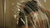 25+ Ways to Cut Back on Your Household Water Use